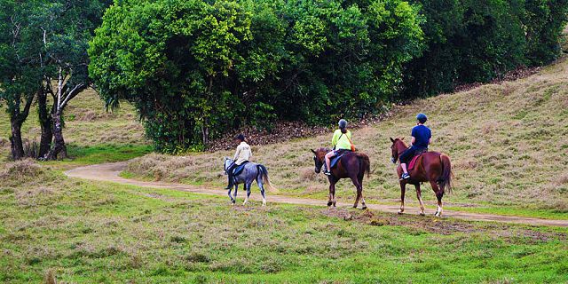 Horse riding excursion and quad biking (10)